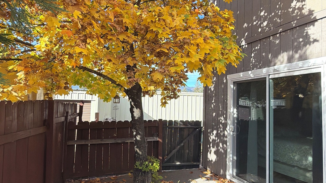 Photo of Outdoor in Mount Shasta