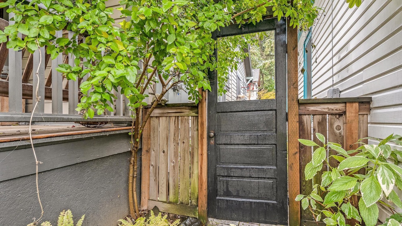 Photo of Outdoor in Belmont
