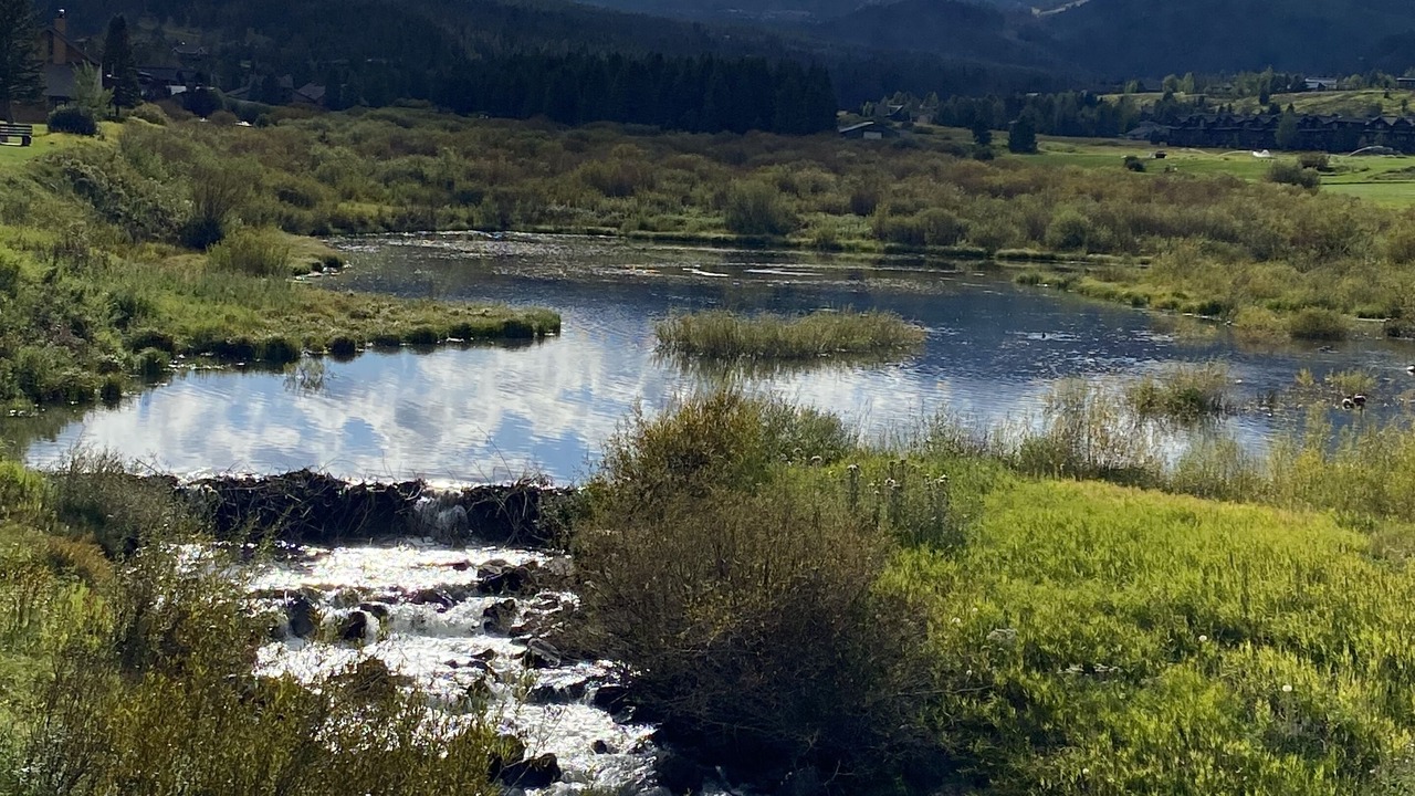 Photo of Others in Big Sky Meadow Village