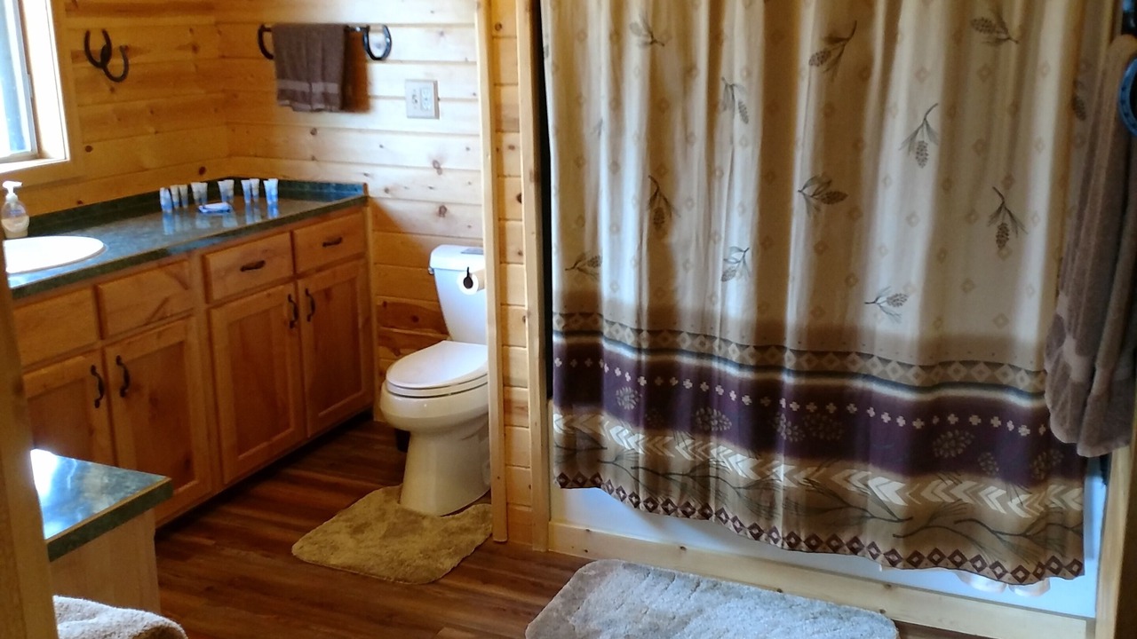 Photo of Bathroom in Island Park