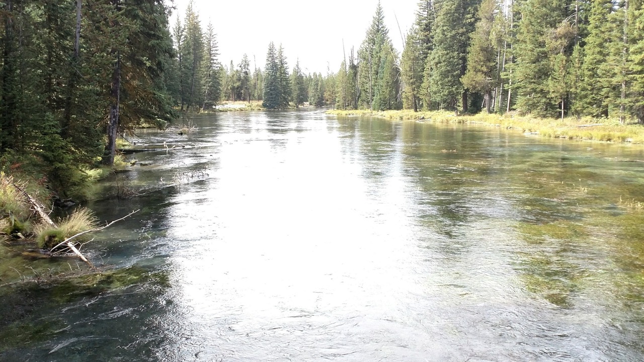 Photo of Outdoor in Island Park