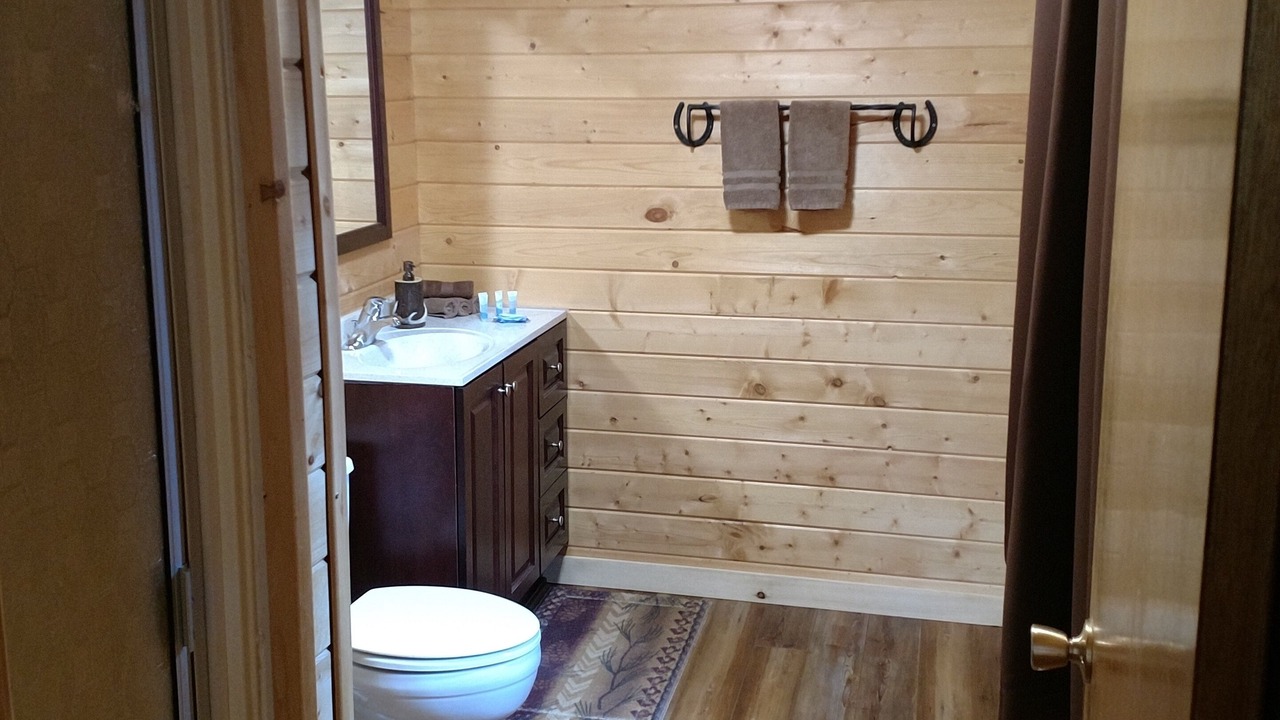 Photo of Bathroom in Island Park