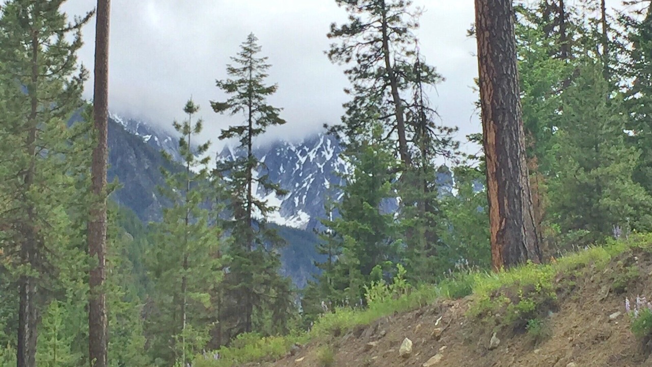 Photo of Others in Downtown Leavenworth