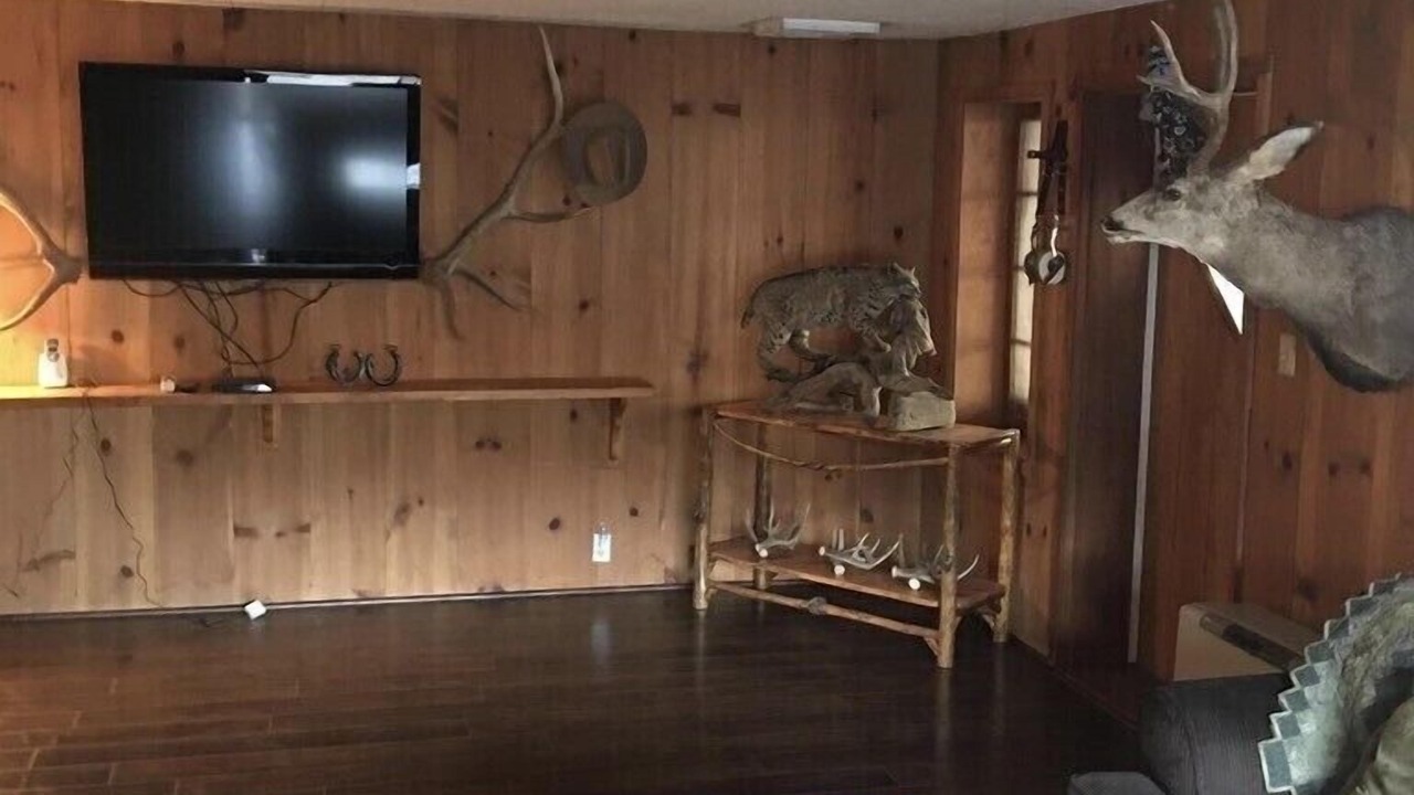 Photo of Livingroom in White Bird