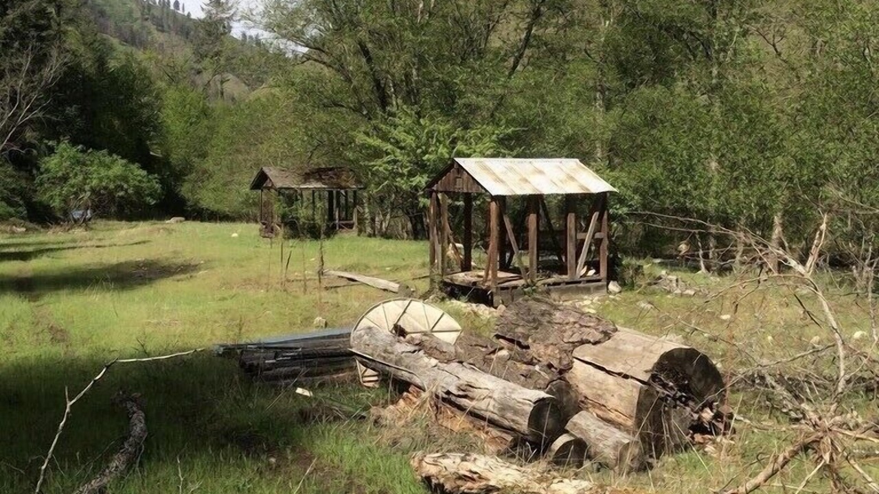 Photo of Outdoor in White Bird