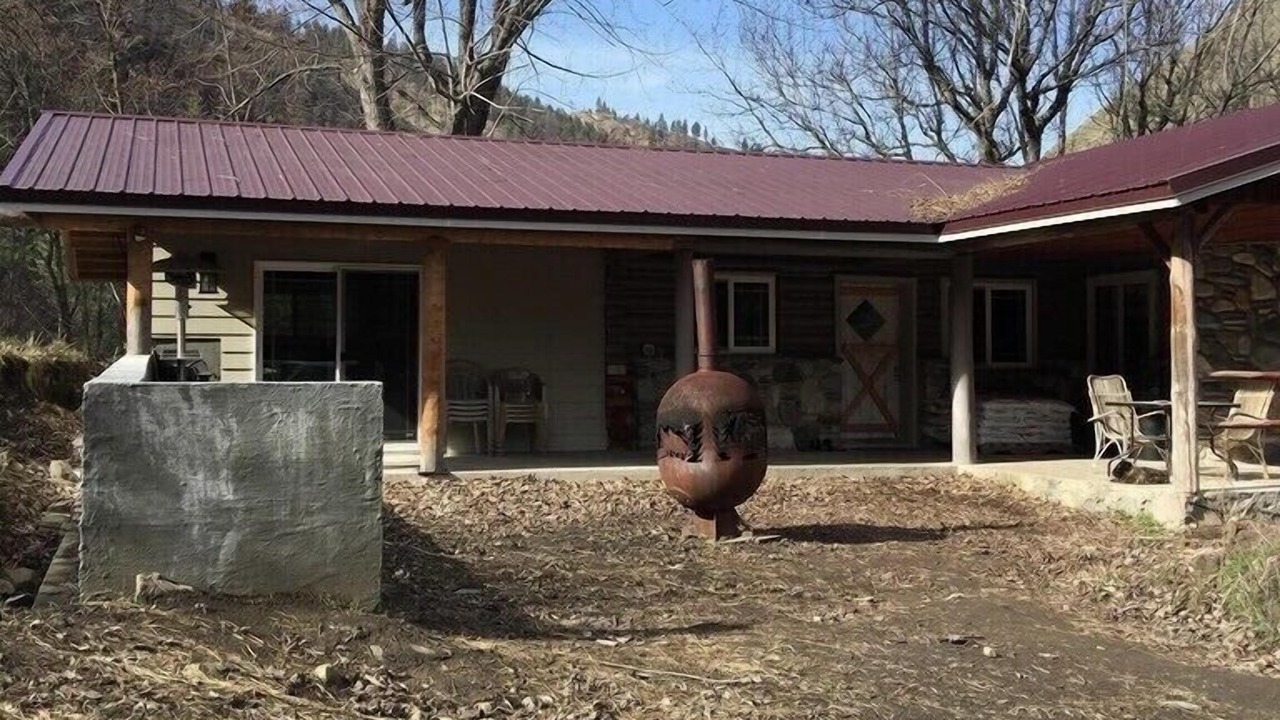 Photo of Outdoor in White Bird