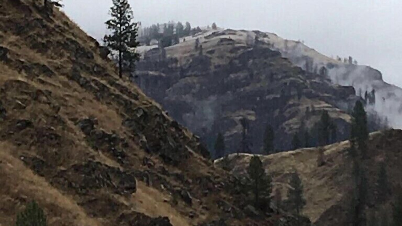 Photo of Outdoor in White Bird