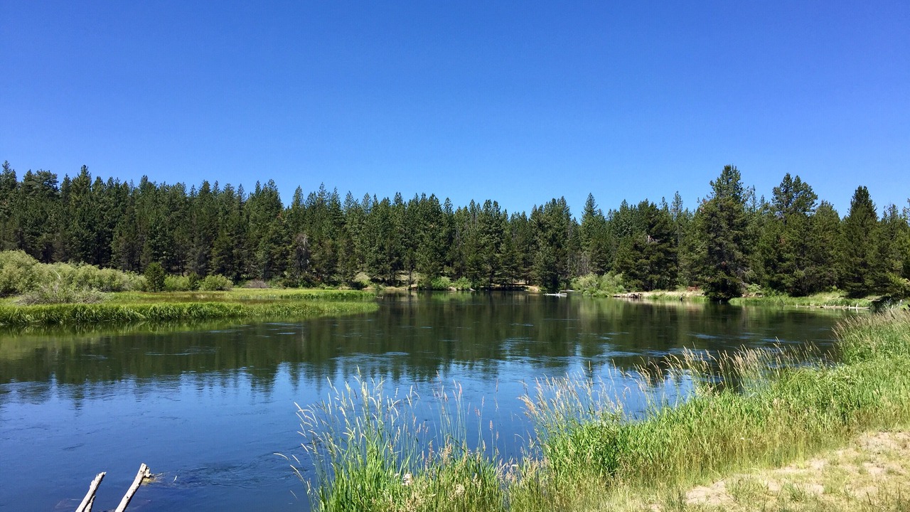 Photo of Others in Sunriver