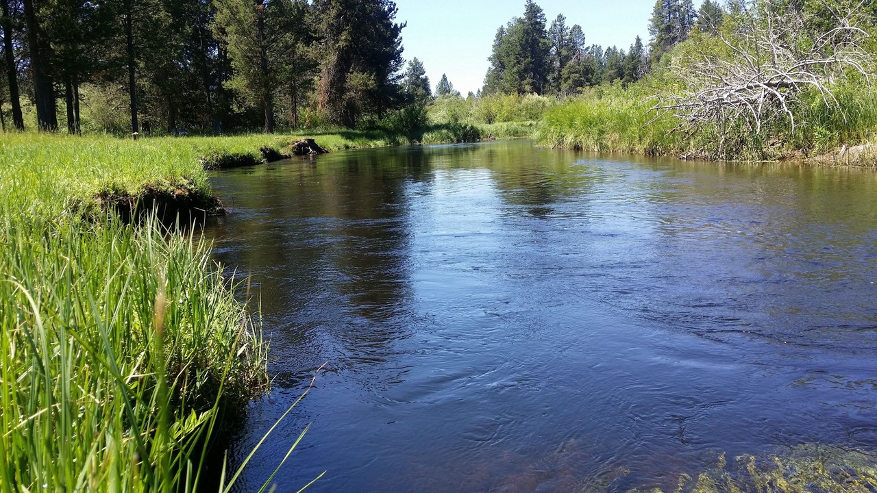 Photo of Others in La Pine
