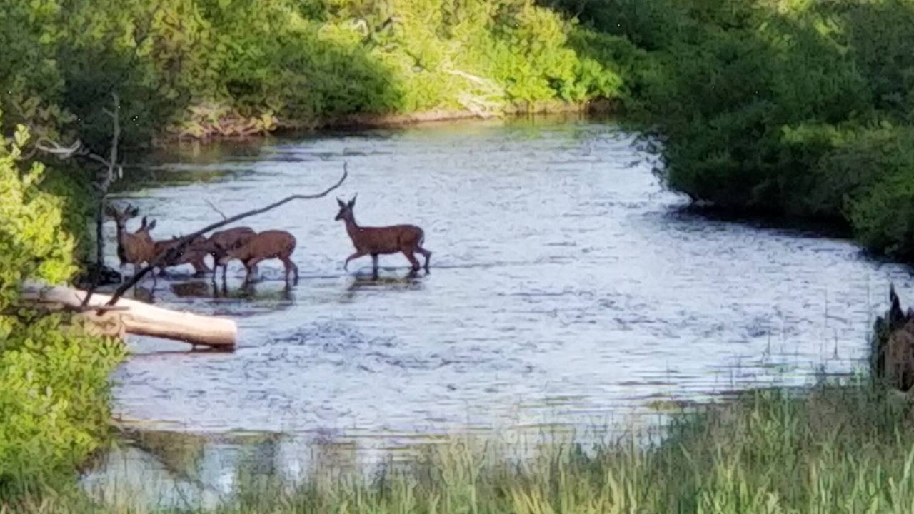 Photo of Others in La Pine