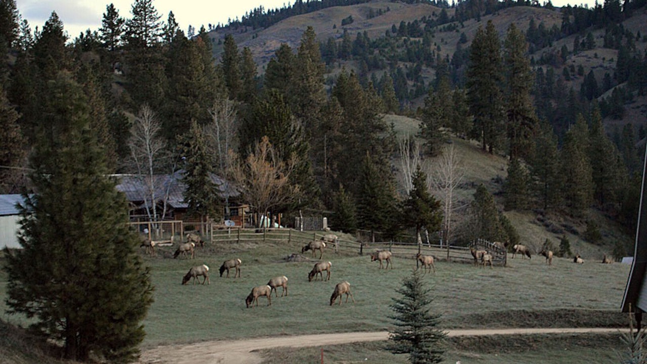 Photo of Others in Boise
