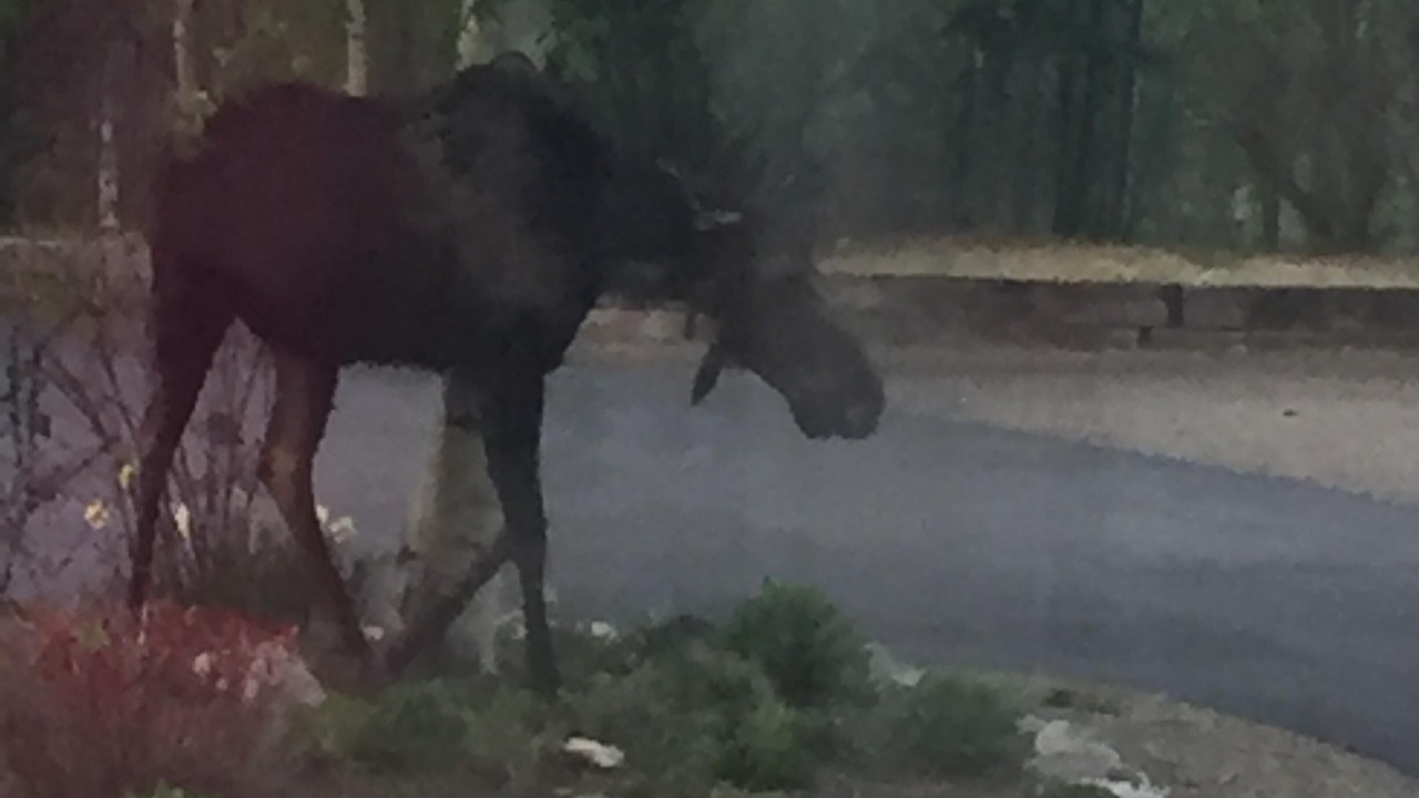 Photo of Outdoor in Hailey