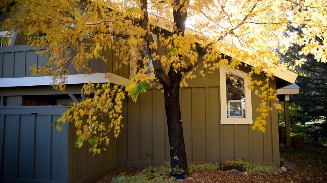 Photo of Others in Ketchum
