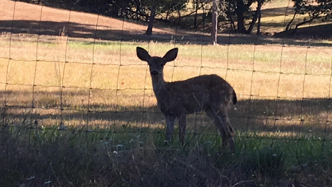 Photo of Outdoor in Roseburg