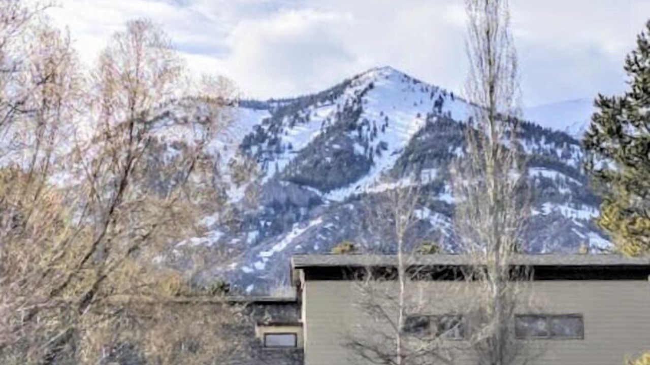 Photo of Others in Moose Wilson Road