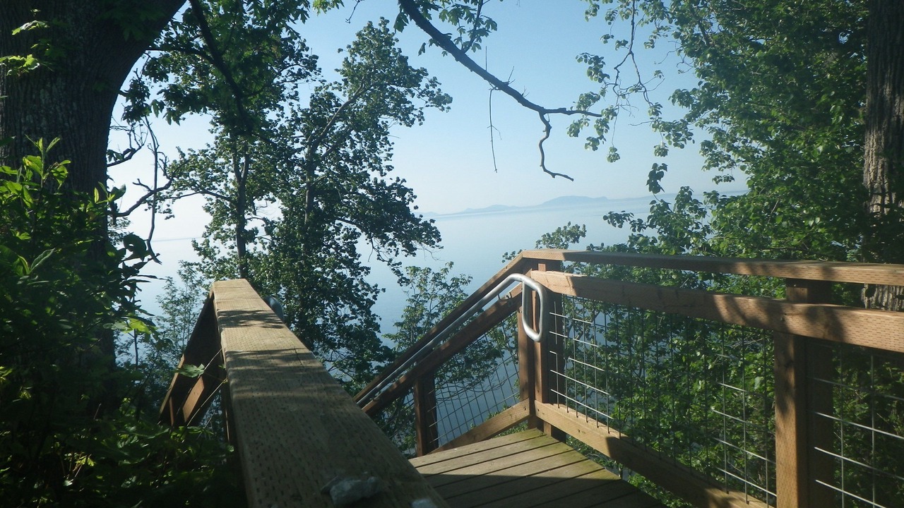 Photo of Others in Point Roberts