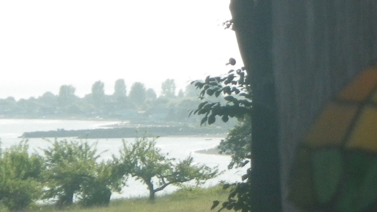 Photo of Others in Point Roberts