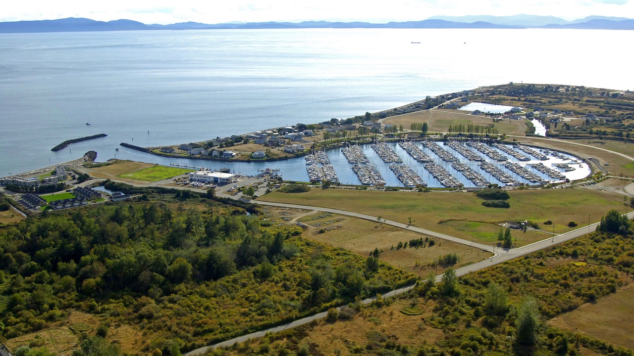 Photo of Others in Point Roberts