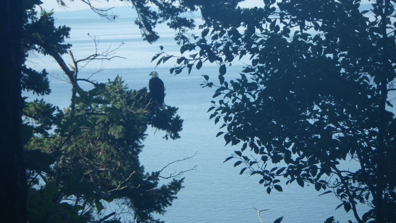Photo of Others in Point Roberts