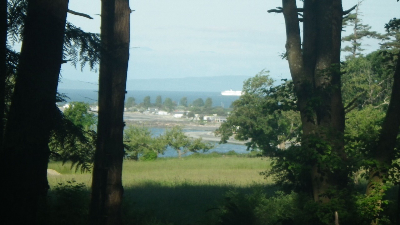 Photo of Others in Point Roberts
