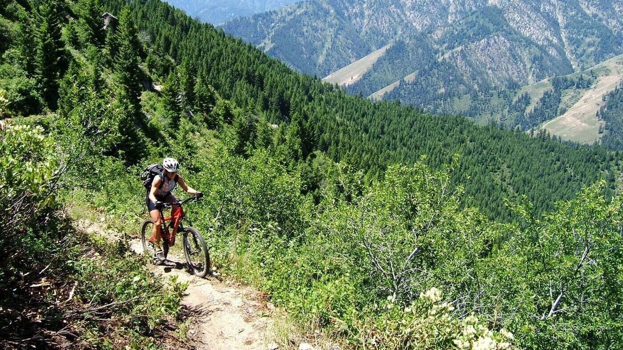 Photo of Others in Ketchum
