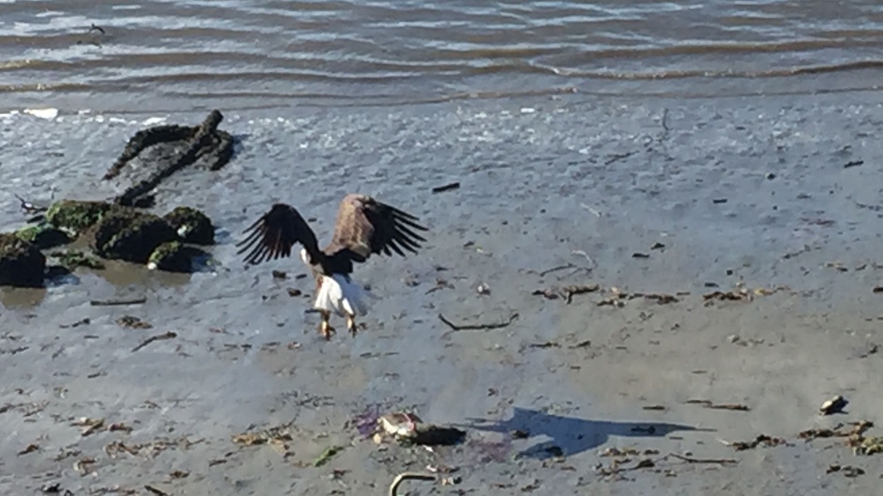 Photo of Others in Kingston