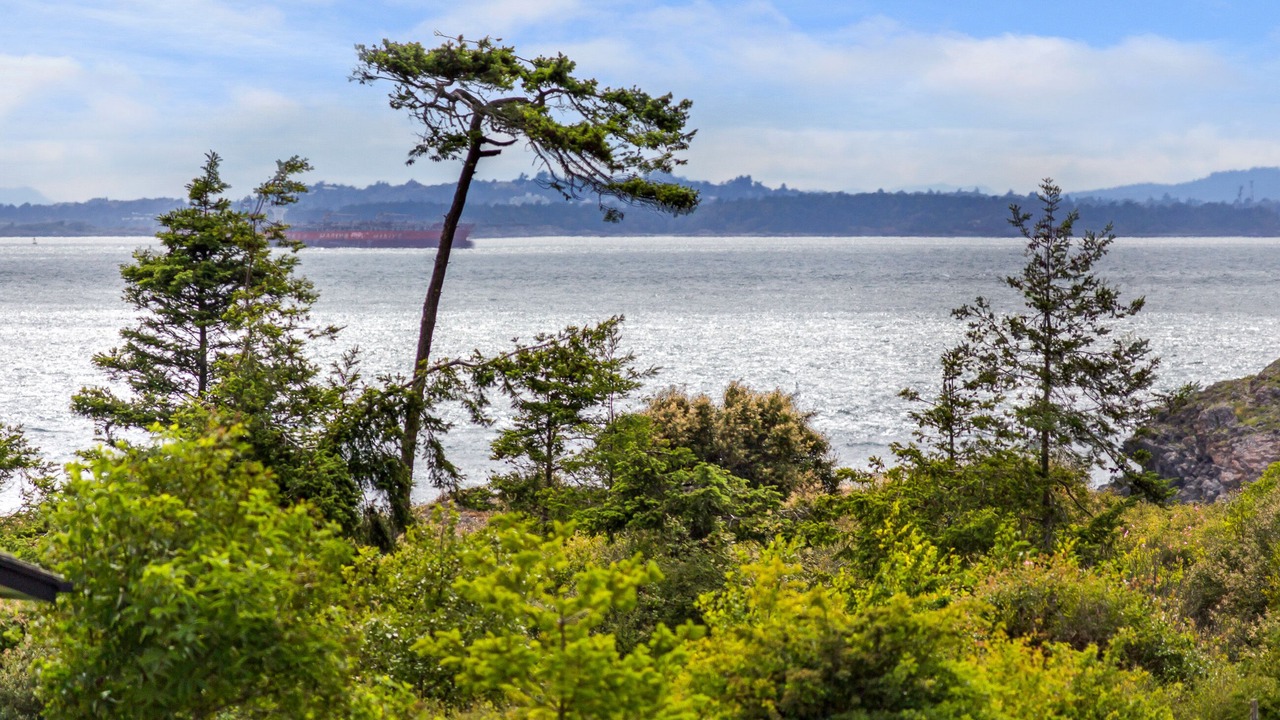 Photo of Others in Friday Harbor