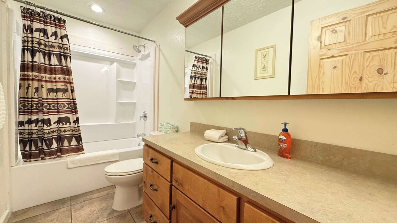 Photo of Bathroom in Island Park