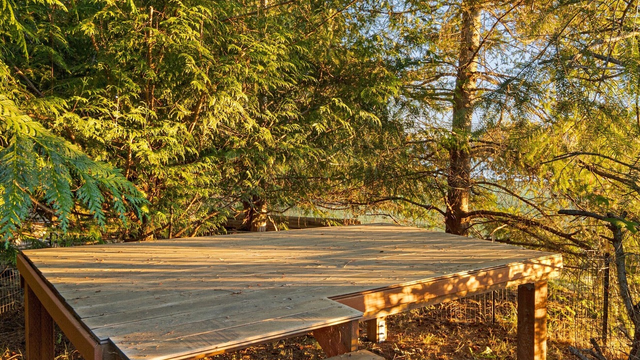 Photo of Outdoor in Roche Harbor