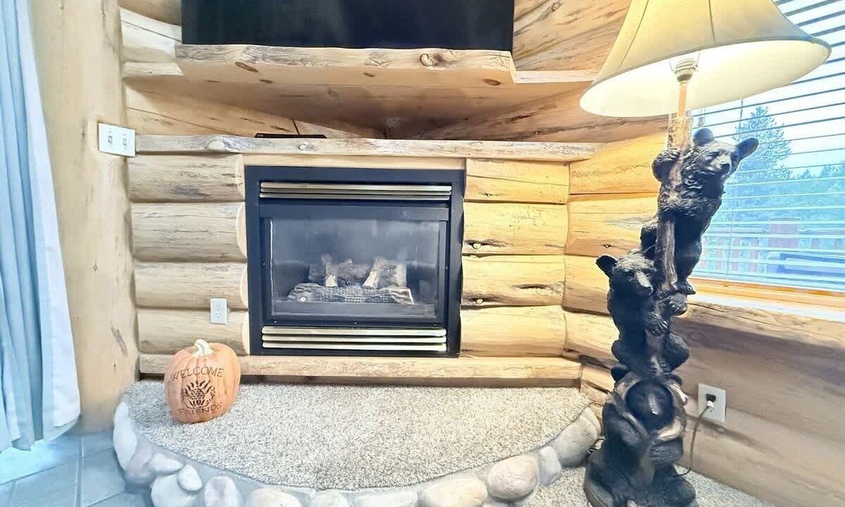 Photo of Livingroom in Island Park