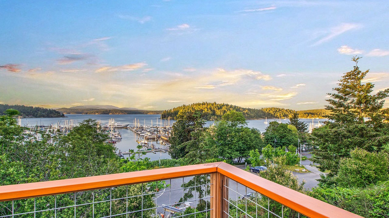 Photo of Others in Friday Harbor