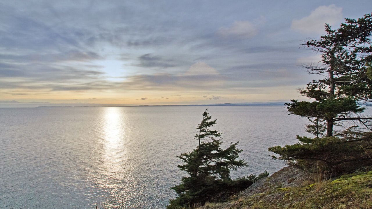 Photo of Others in Friday Harbor