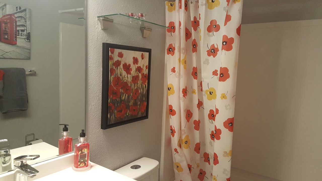 Photo of Bathroom in Eagle