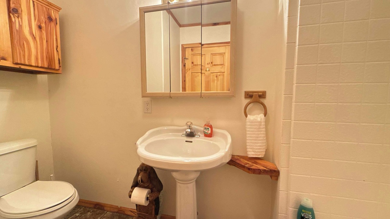 Photo of Bathroom in Island Park
