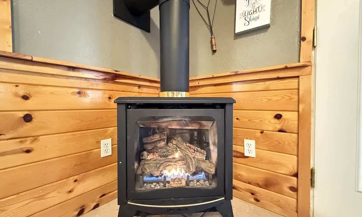 Photo of Livingroom in Island Park