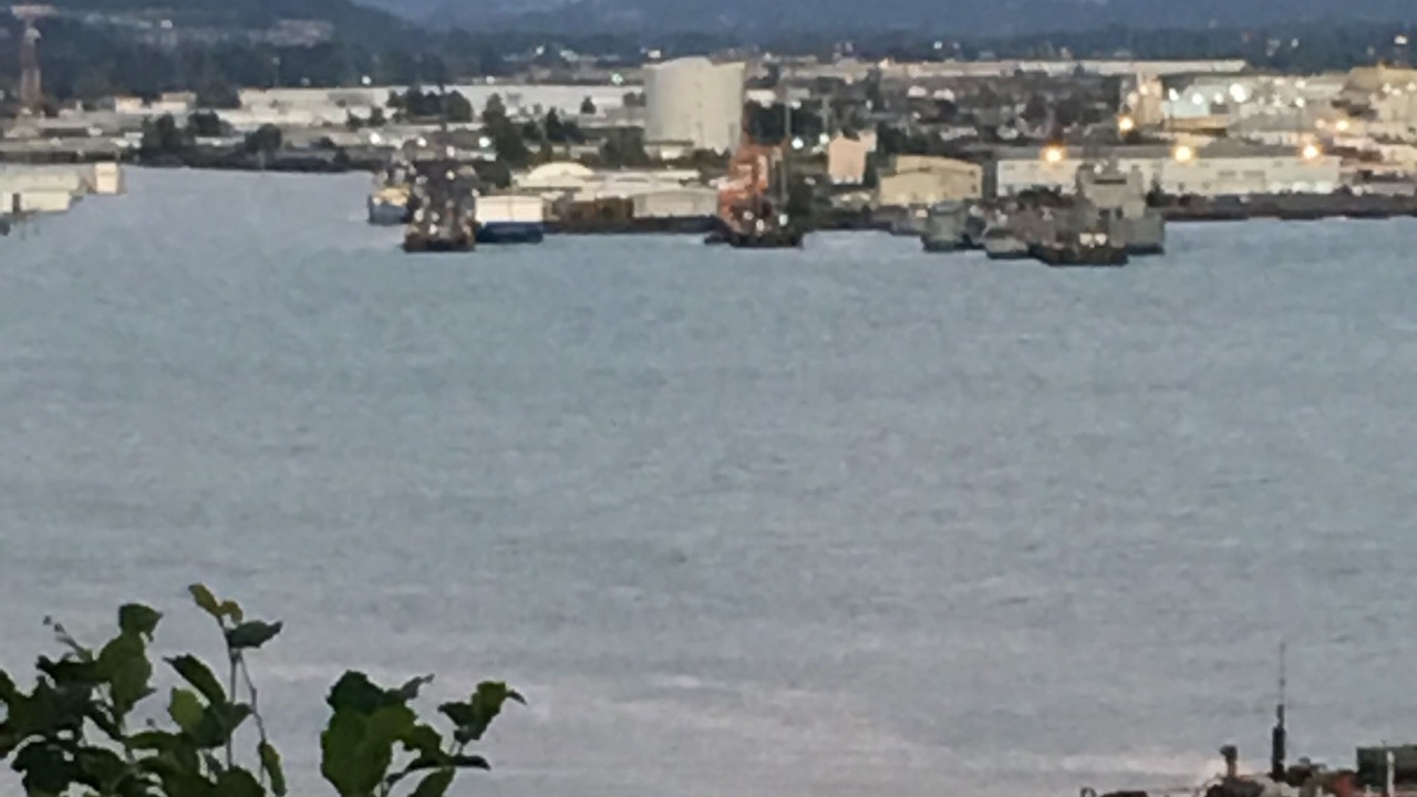 Photo of Others in Tacoma