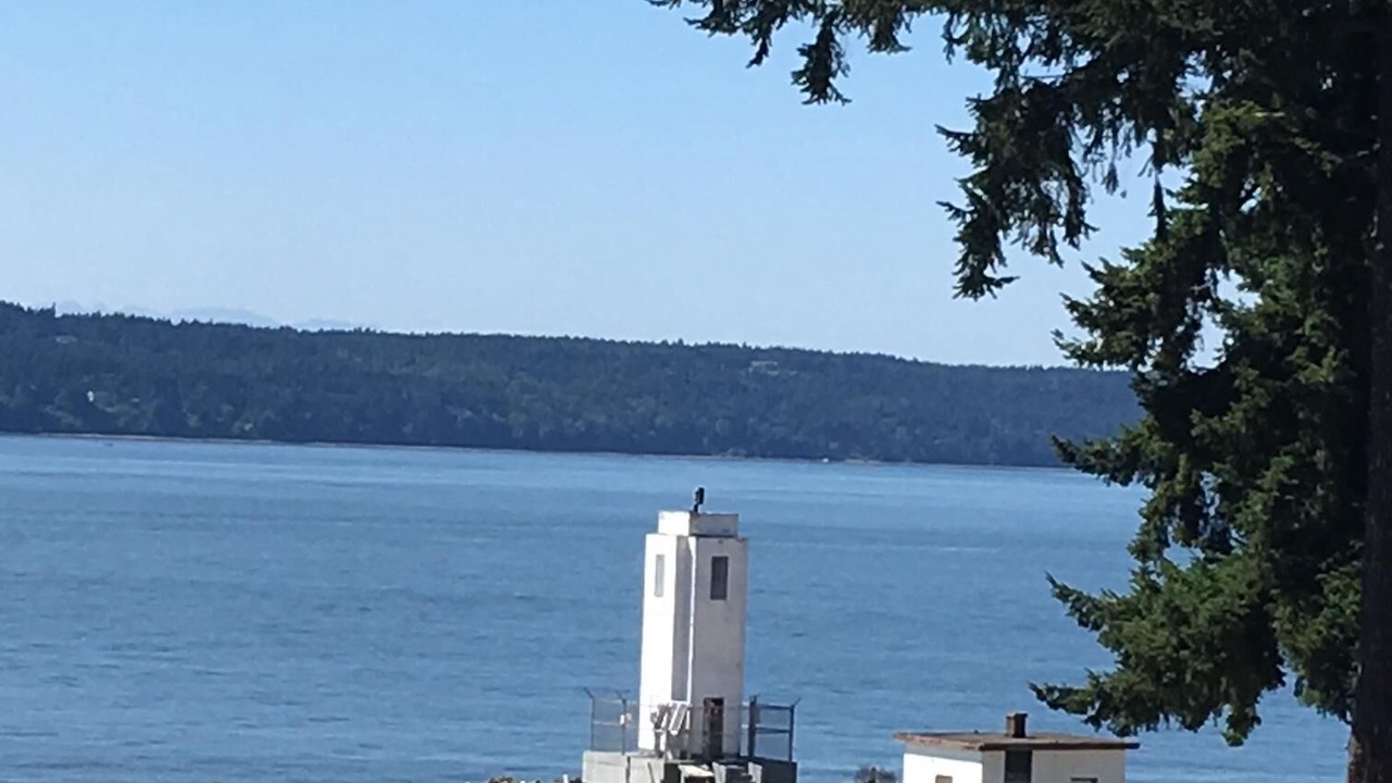 Photo of Others in Tacoma