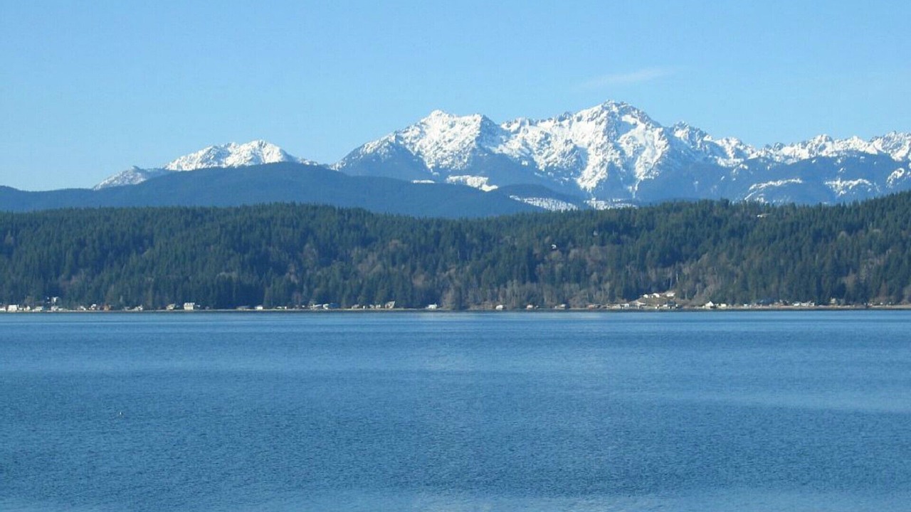 Photo of Others in Tacoma