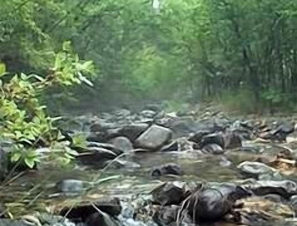 Photo of Others in Chico
