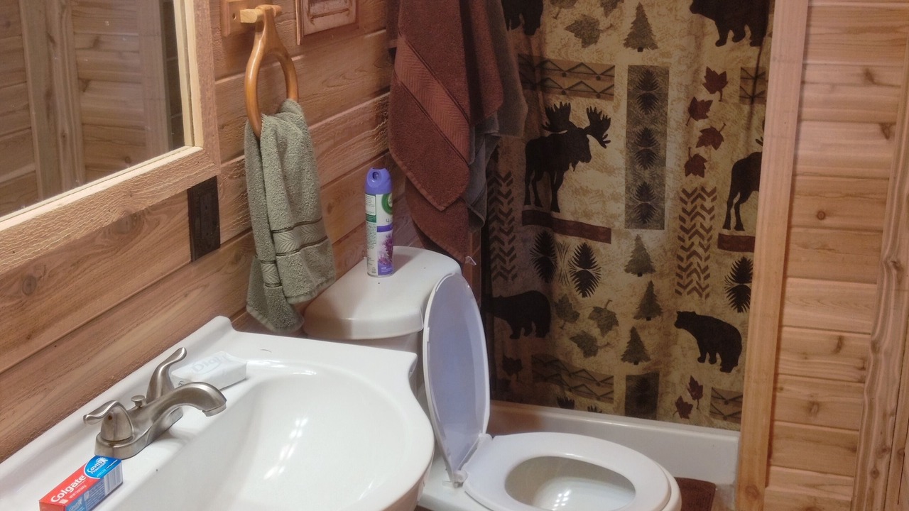 Photo of Bathroom in Chewelah