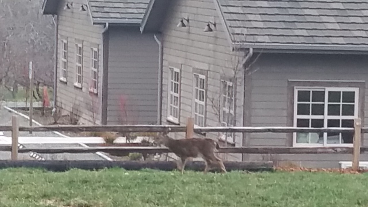 Photo of Others in Anderson Island