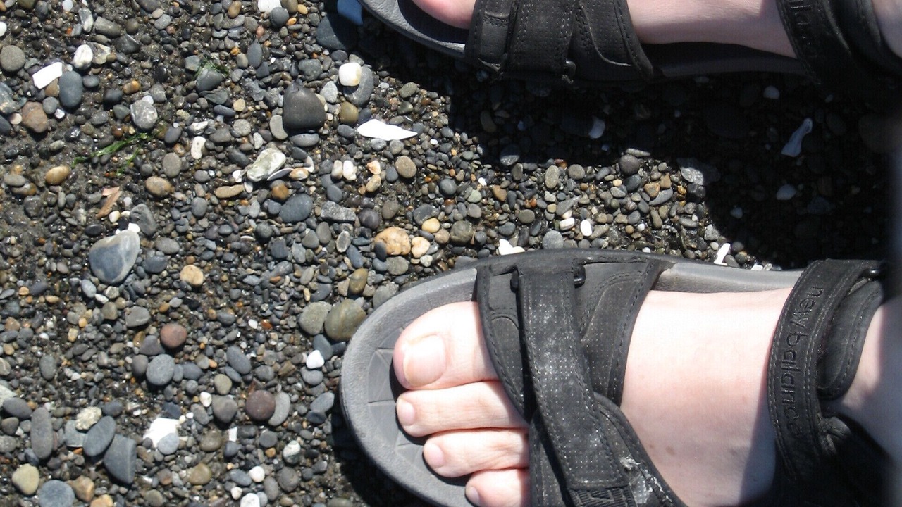 Photo of Others in Ocean Shores