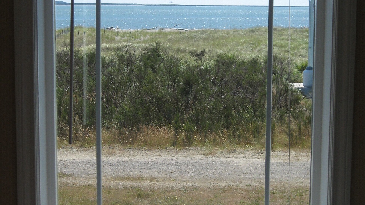 Photo of Others in Ocean Shores