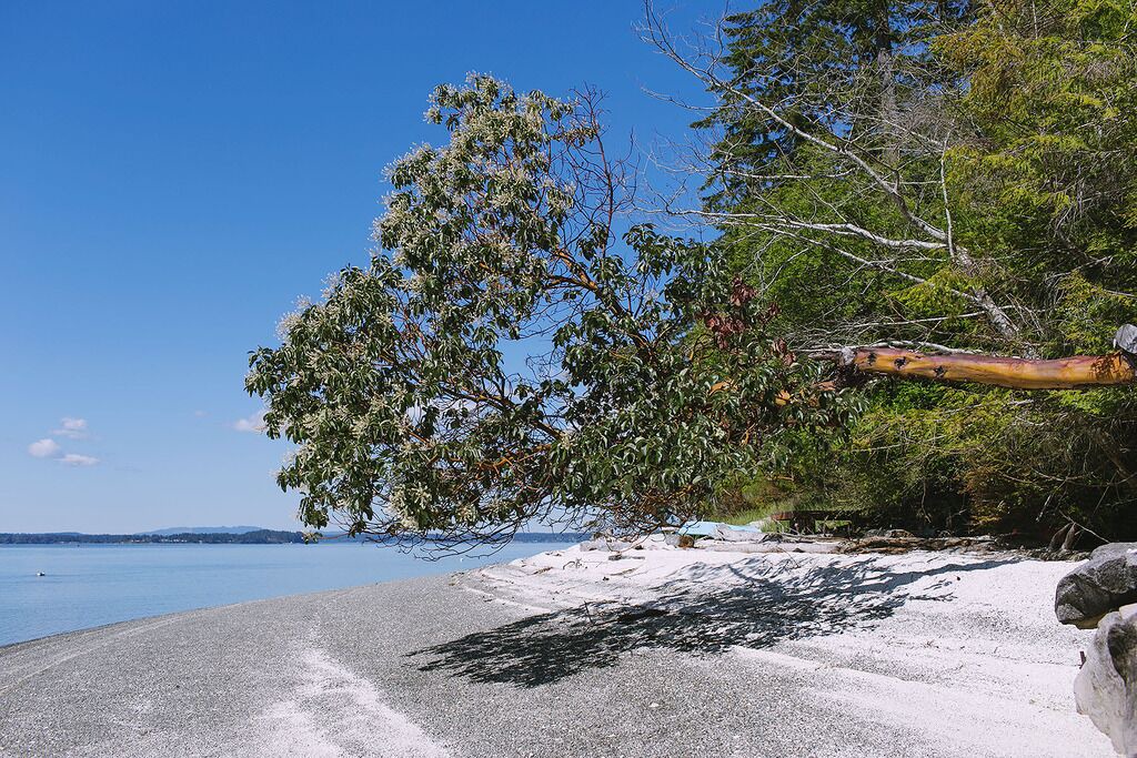 Photo of Others in Lakebay