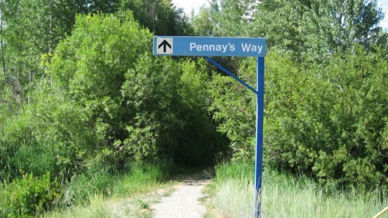 Photo of Others in Ketchum