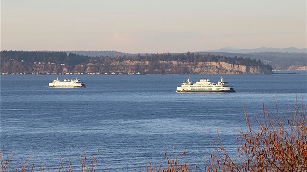 Photo of Others in Mukilteo