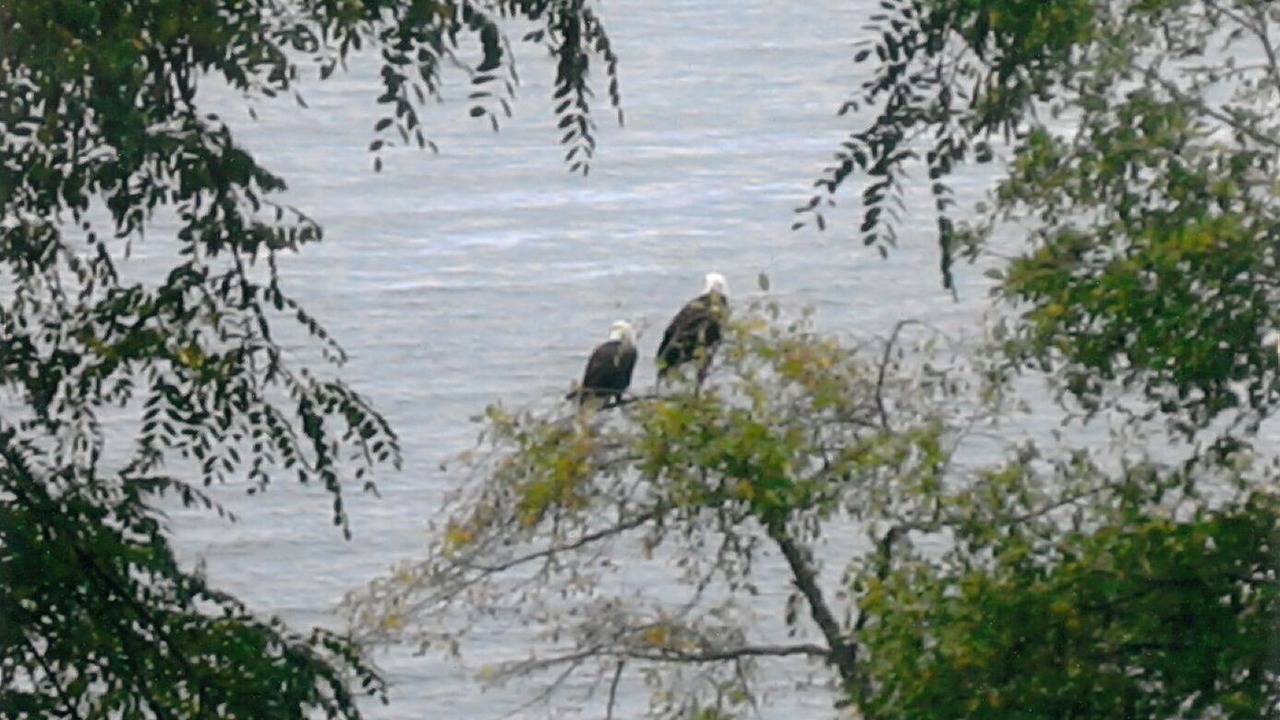 Photo of Others in Mukilteo