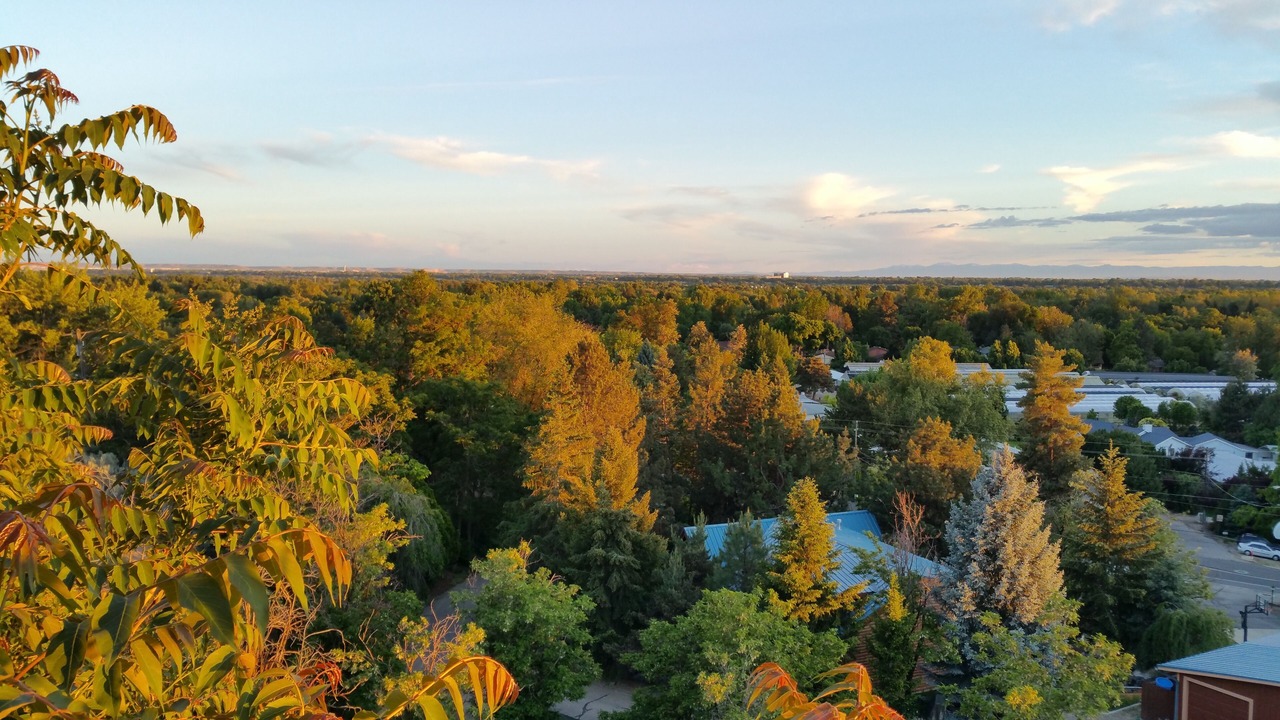 Photo of Outdoor in Quail Ridge