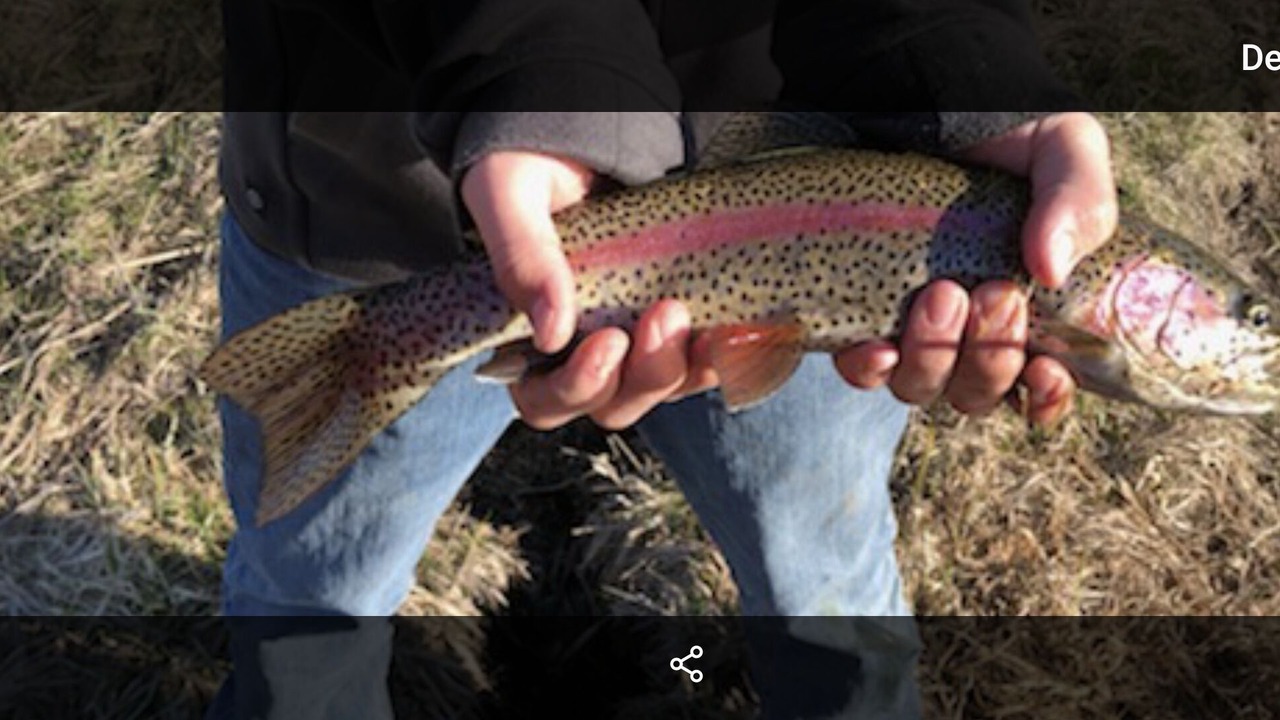 Photo of Others in Hyrum
