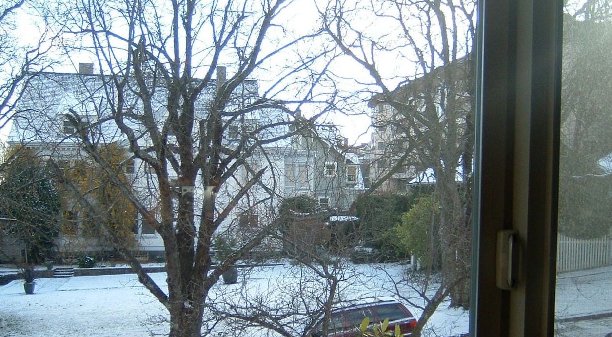 Photo of Others in North End